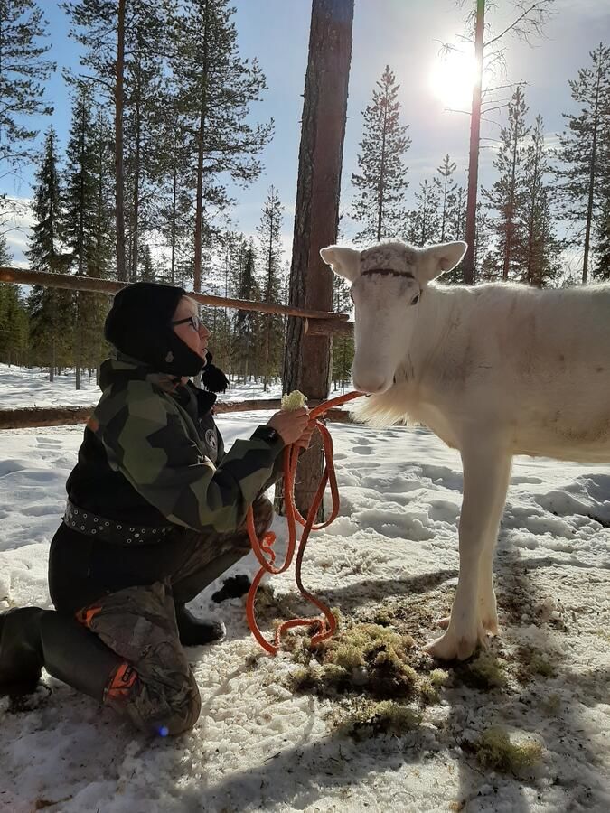 Дома для отпуска Puolukkamaan Pirtit Cottages Lampsijärvi-27